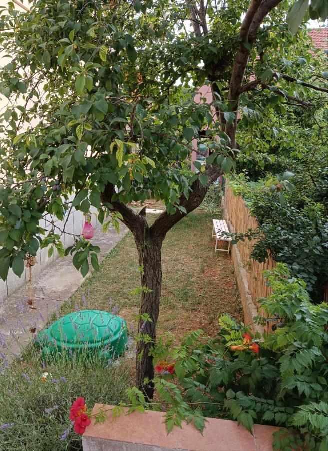 Ferienwohnung Apartman Mala Cici Zadar Exterior foto